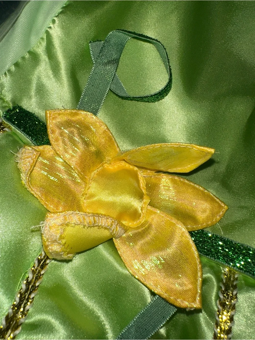 Disney Princess Tiana Pet Costume made by Rubies Costume Company